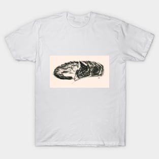 Cat Dreaming - peach background T-Shirt